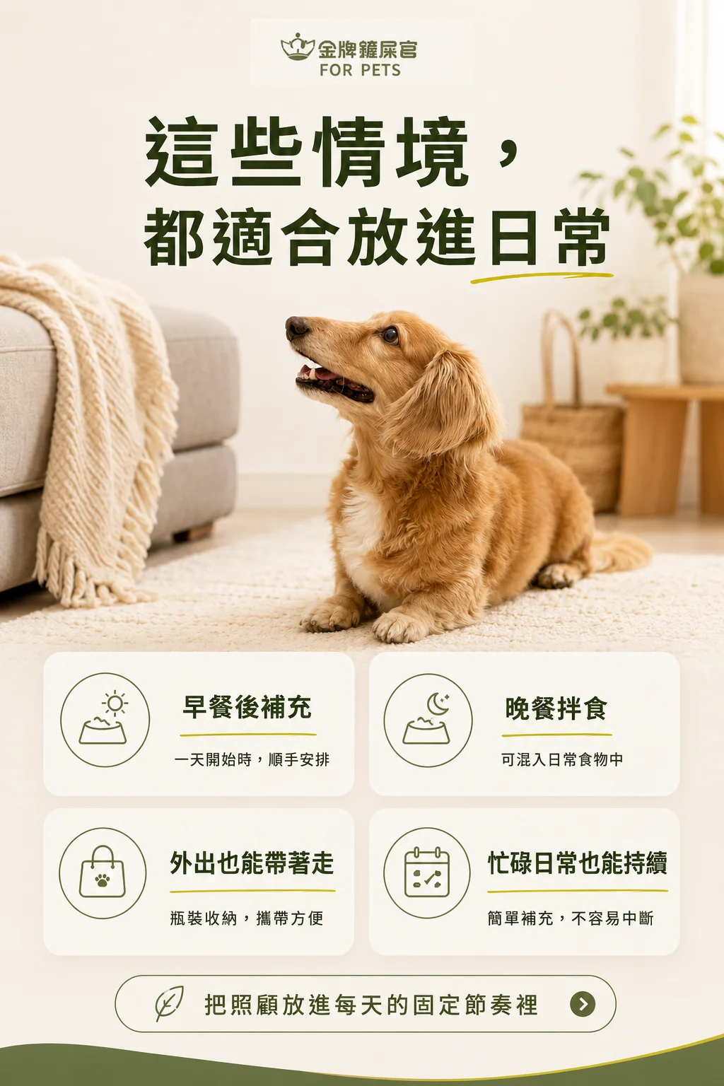 這些情境，都適合放進日常