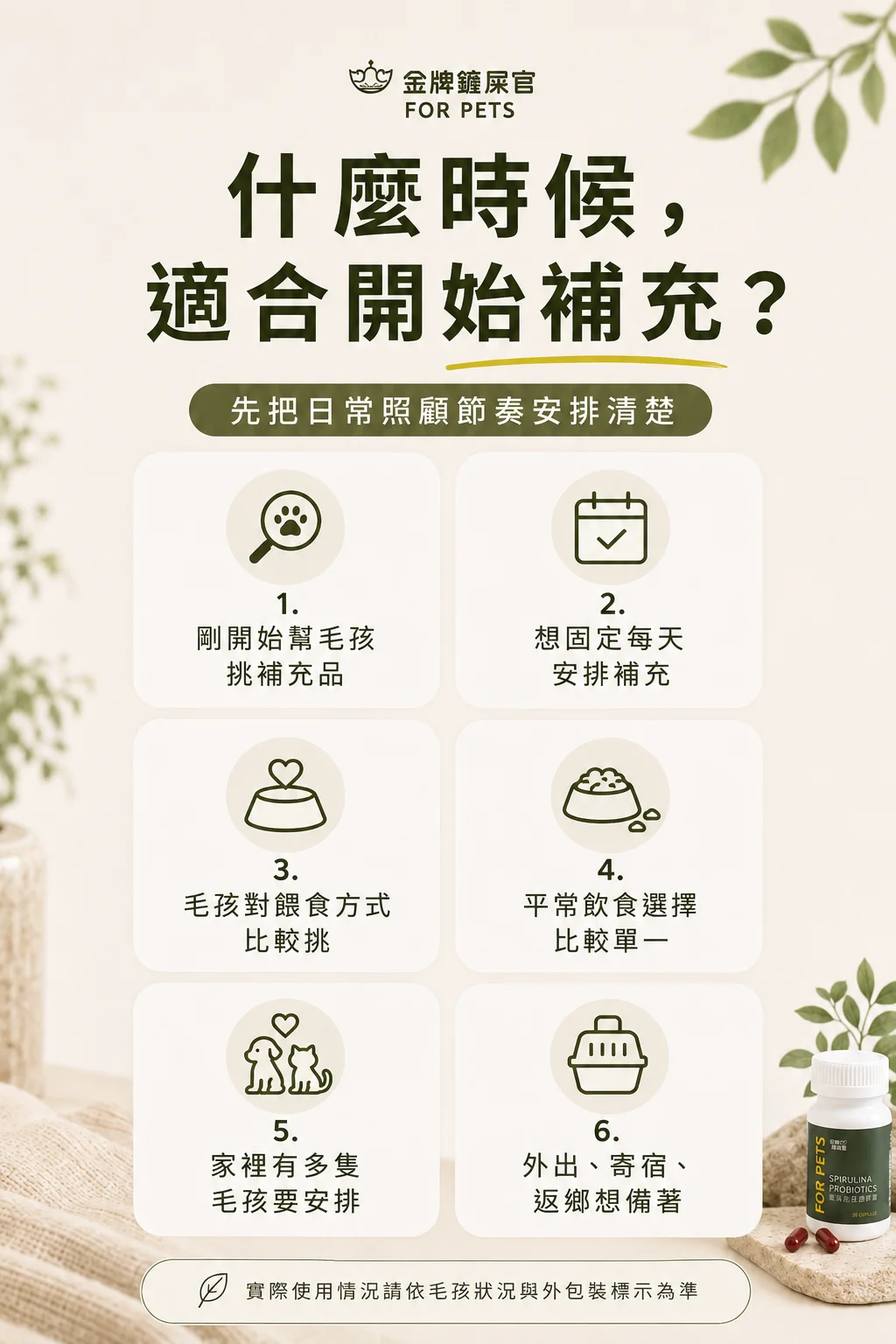 適合這些飼主的日常節奏