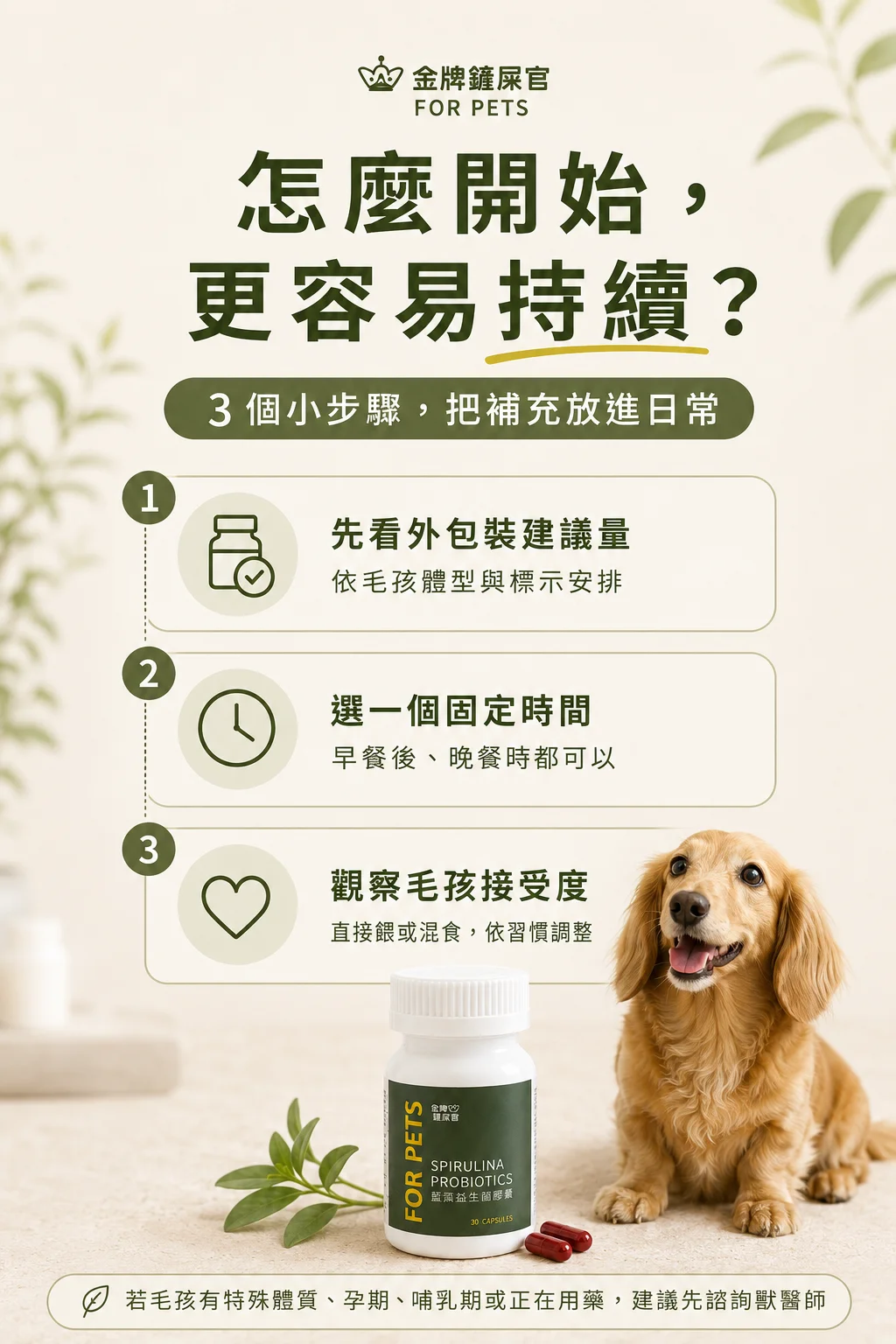 怎麼餵，最簡單？直接餵食或拌入主食